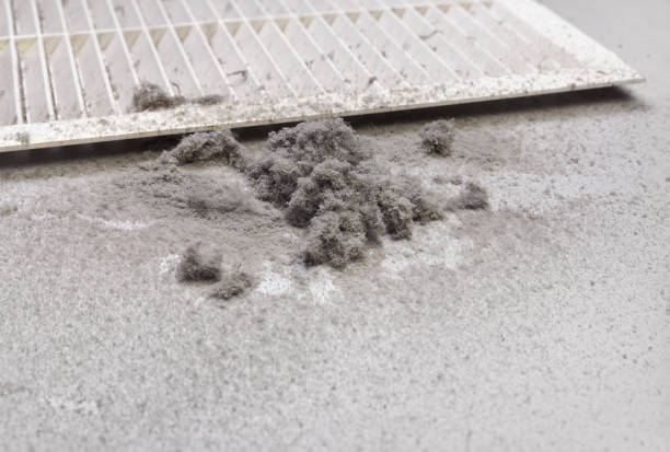 Best Residential Air Duct Cleaning  in Vail, AZ